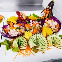 /album/galeria-de-fotos/whatsapp-image-2020-10-25-at-14-47-48-2-jpeg/